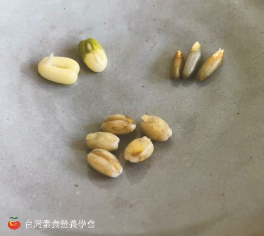 發芽穀類2 smaller