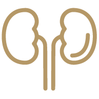 kidney button