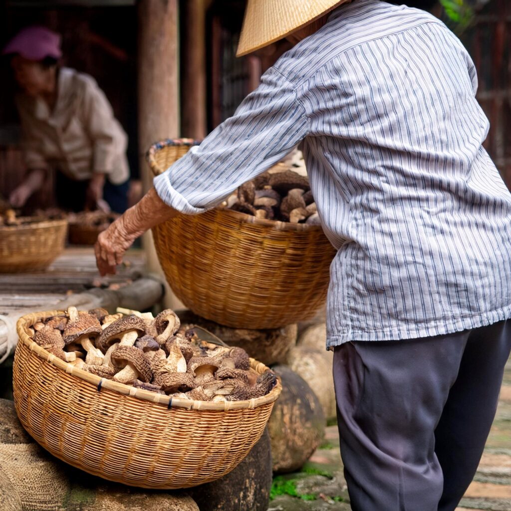 老年人在傳統四合院的庭院中用竹簍曬香菇_由Firefly AI 生成