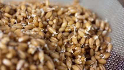 4622095545 3da46c1936 c