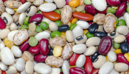 bean_cover (2)