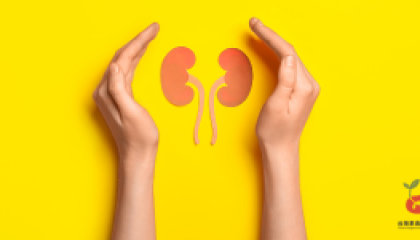 kidney_cover