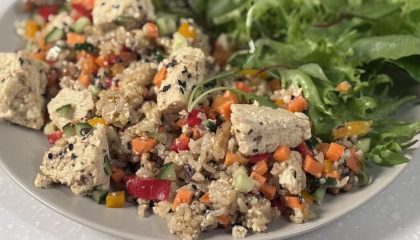 plated feta cheese salad_vegan_icon
