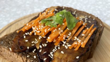 teriyaki temph_cover