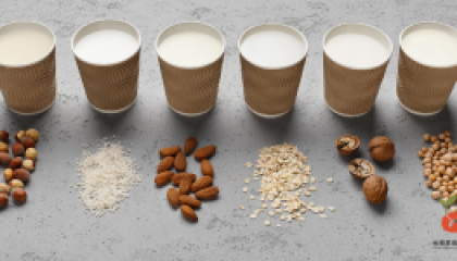 vitD plant milk_cover